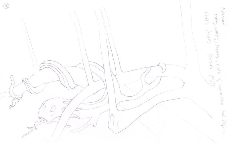 drawing of adroanzi