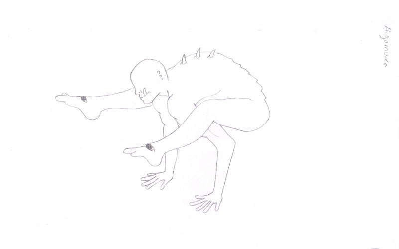 drawing of aigamuxa