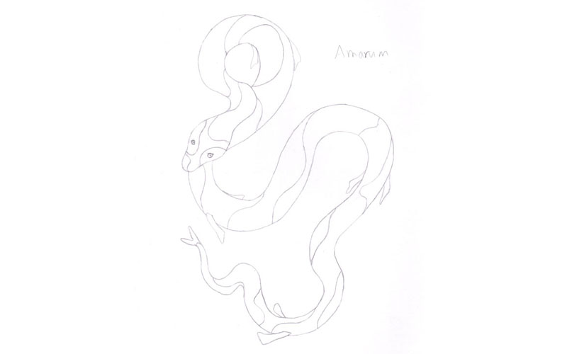drawing of amarum