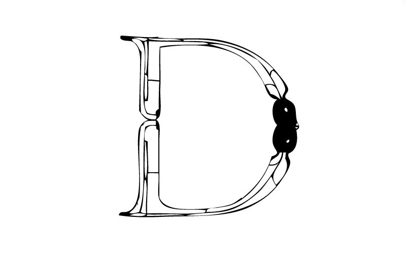 abstract drawing of a dragonfly in the shape of the letter D