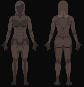 dw fitness female muscle groups