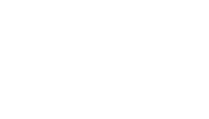 prylis studio logo